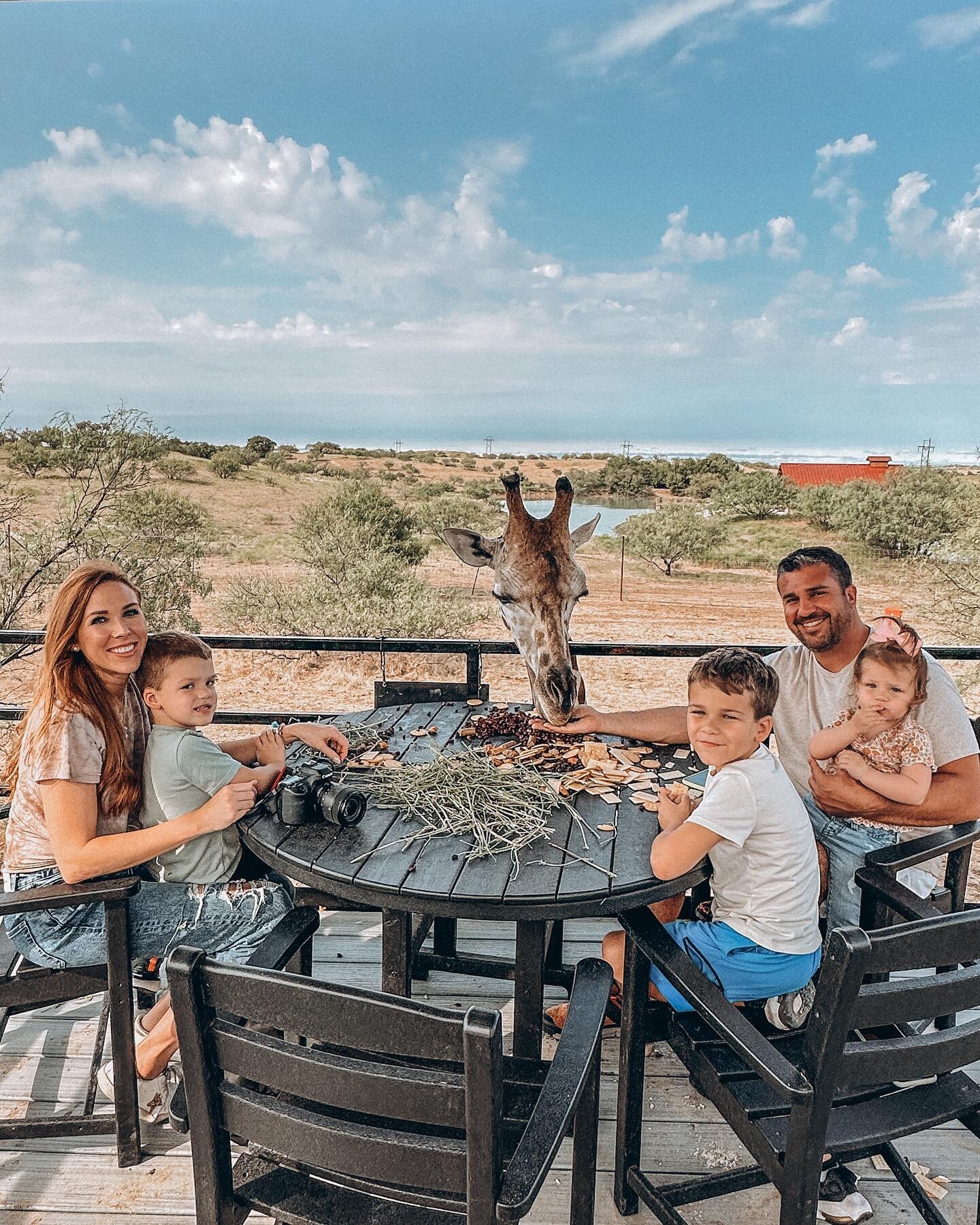 Snacking at sunset with Google the giraffe! 

This was the most fun charcuterie sharing I&rsquo;ve done with the family and the most up close, and personal experience with this sweet boy! 

We just had the time of our lives at @bluehillsranch and for